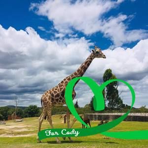 Meet your Posher, Ed